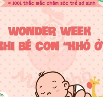 WONDER WEEK – KHI BÉ CON KHÓ Ở, ĐIỀU CẦN NHẤT LÀ BỐ MẸ HÃY BÌNH TĨNH!!!