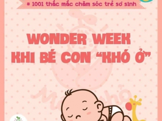 WONDER WEEK – KHI BÉ CON KHÓ Ở, ĐIỀU CẦN NHẤT LÀ BỐ MẸ HÃY BÌNH TĨNH!!!